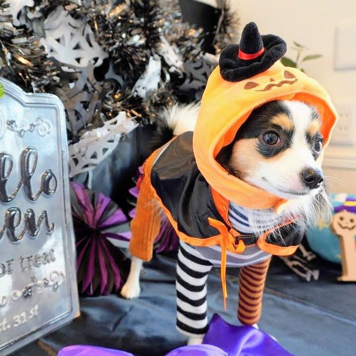 C1ad360b e913 4552 9930 618cc7adfed6 1635130657400