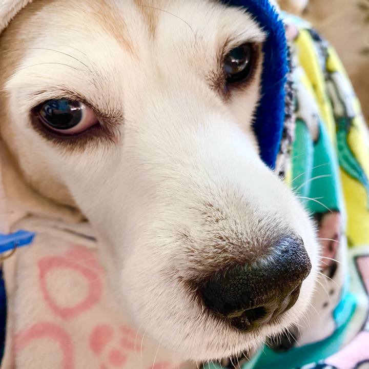 C1ad5959 d081 4bf4 bb23 488c73ae9fe8 1612411465454