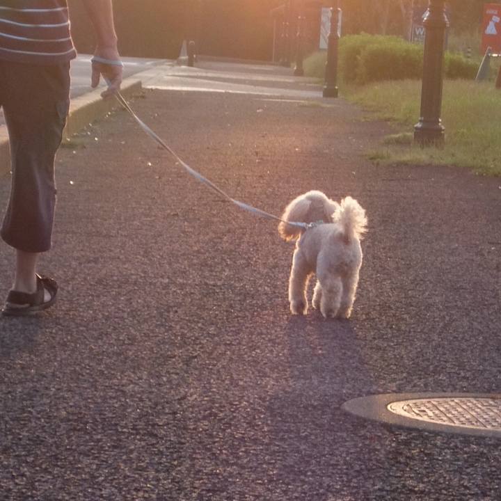 C1ad620b be4e 4a5d 9707 63d9781ff47e 1600469329393