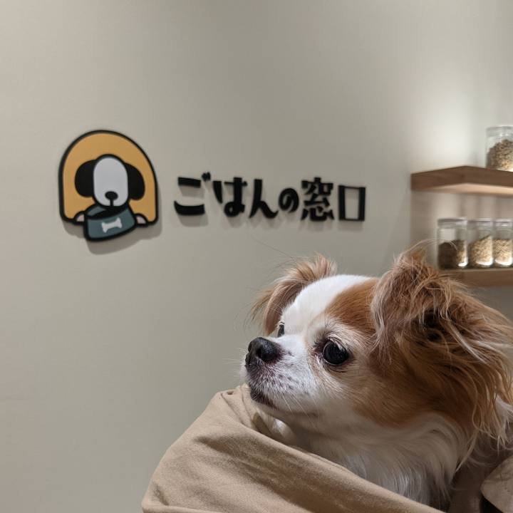 C1ad7c73 3ddc 4374 b1c5 ff8f17ec455f 1618737240318