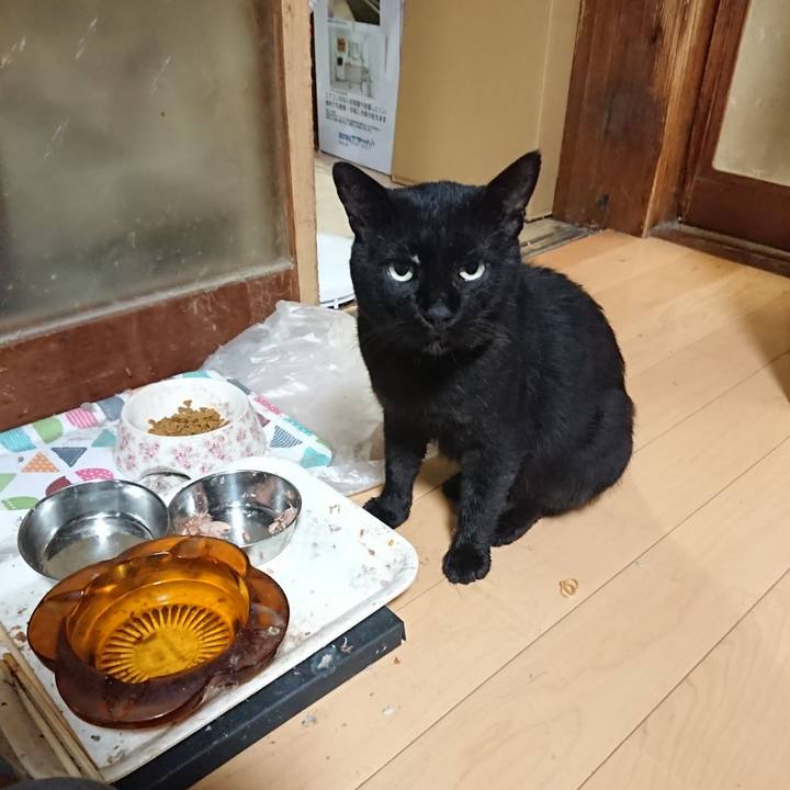 C1ad9b43 0852 42b0 8eb4 fd1f2fc6cf53 1628595600560