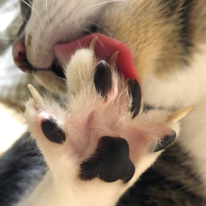 C1adda88 5bcf 4c61 bfad 486998eb68e2 1637358991217