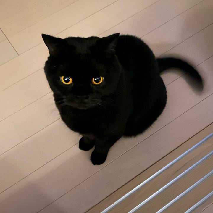 C1ade59b 7229 453a b451 1006eb97a922 1699706868143