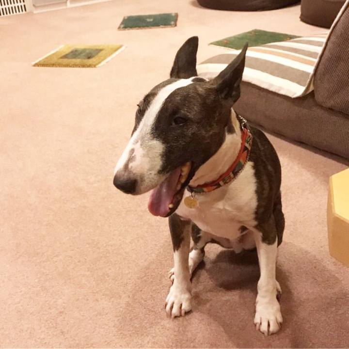 C1ae37fe eb71 4274 a9c9 c83b1011e94c 1508412384081