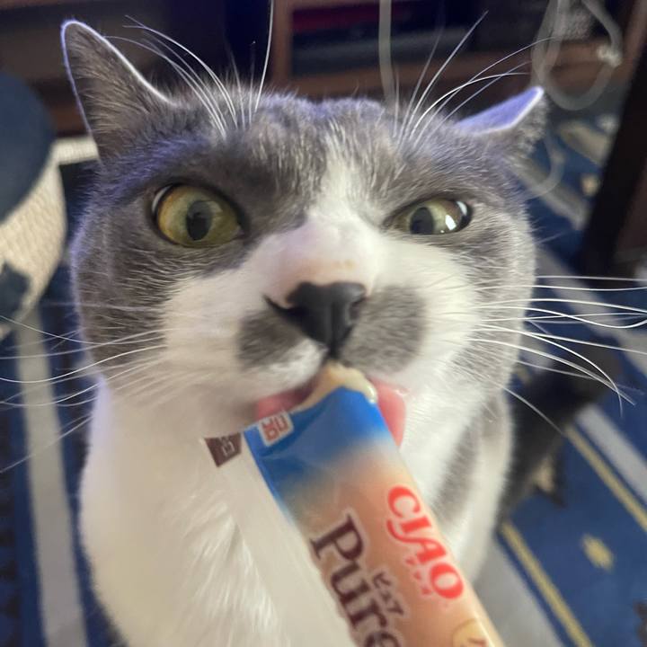 C1ae4527 c80d 49aa b2b4 c98dc70517f2 1684391190429