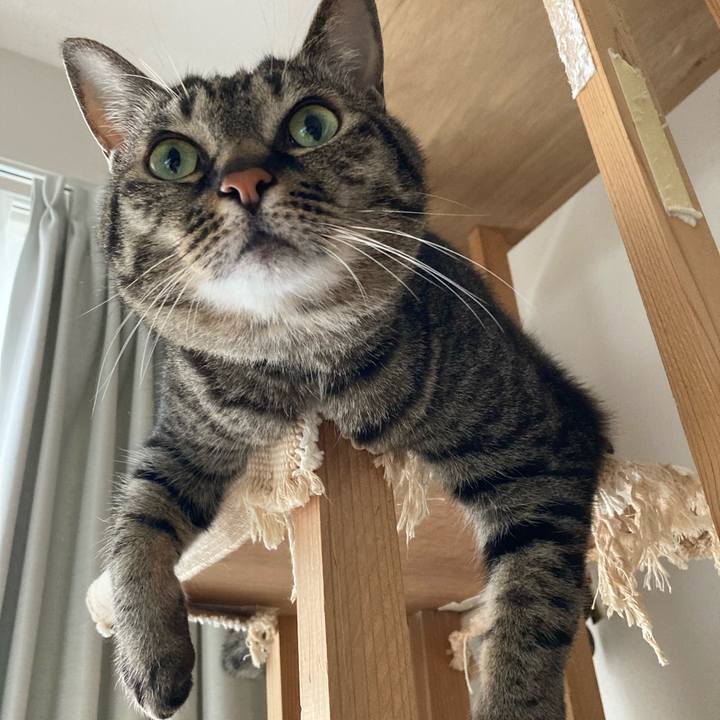 C1ae5b62 f861 4829 b0f7 96df382a988f 1622380457715