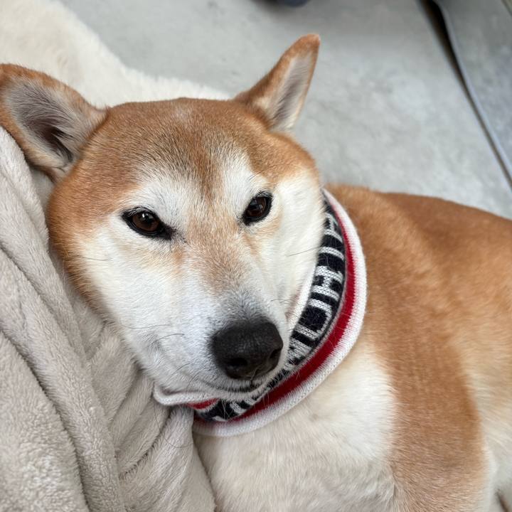 C1ae89ed 8a4c 4791 bc0f 9fc214e608da 1766911636620