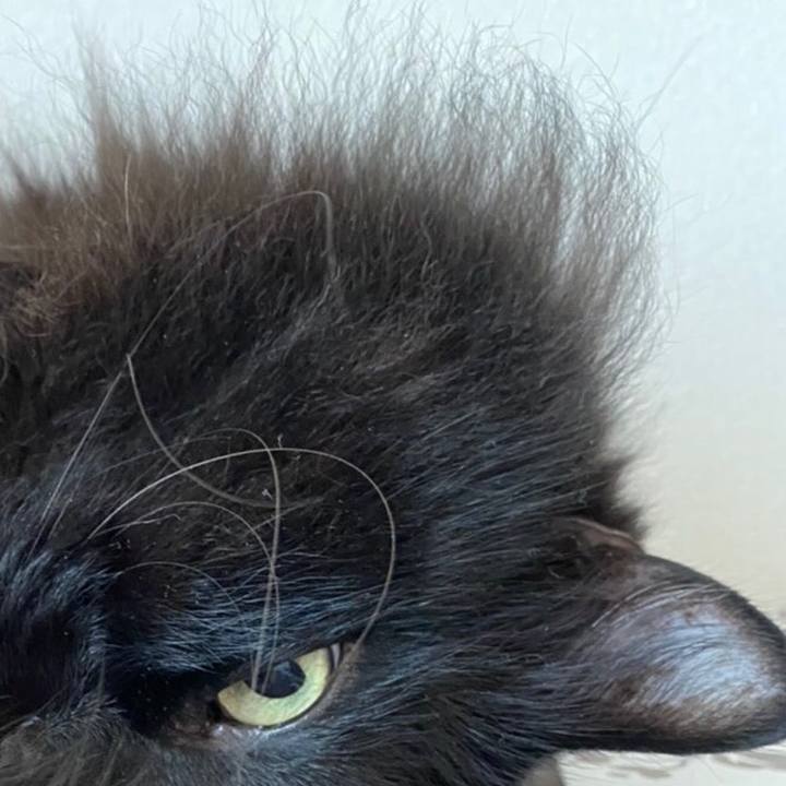 C1ae9488 0145 4ec5 b2d0 edb80f553460 1576731860721