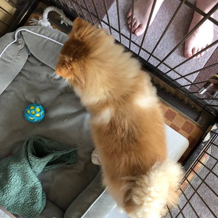 C1aecce7 f4e3 4984 b659 55c65f748338 1655615222021