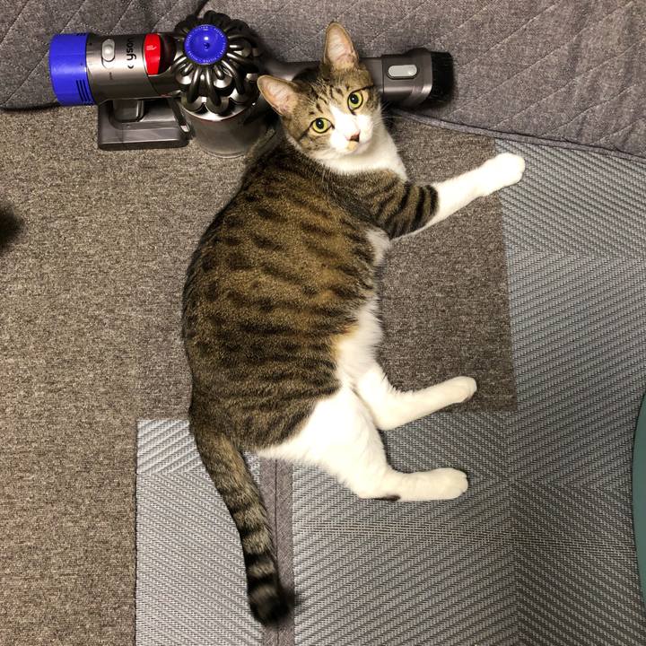 C1aeecc3 bc3b 4880 a731 d30671835240 1664868806462