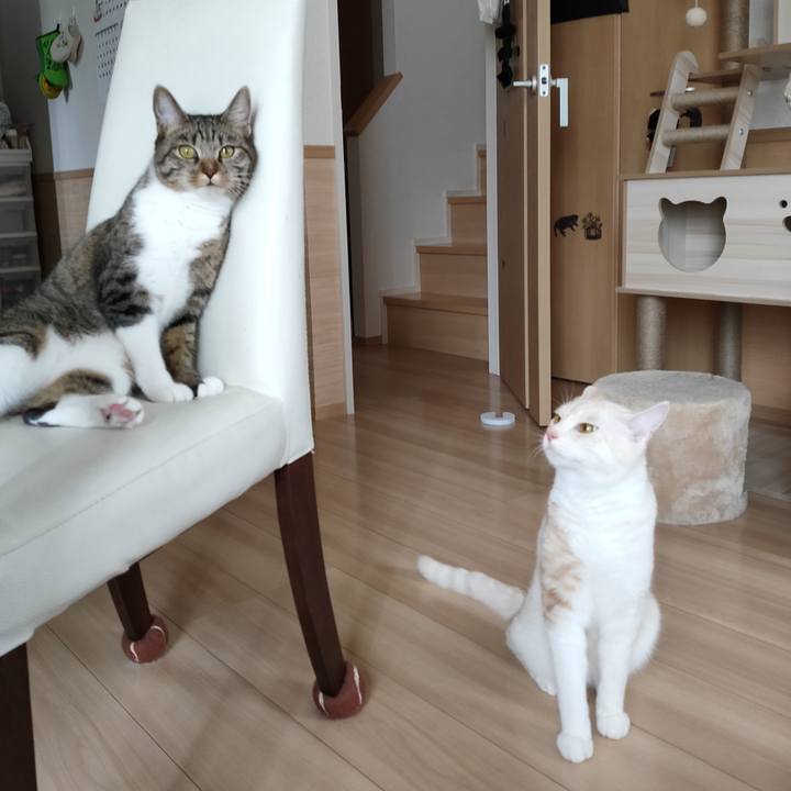 C1aef045 225c 4ff6 ae21 2f84ae34ccf7 1661228787924