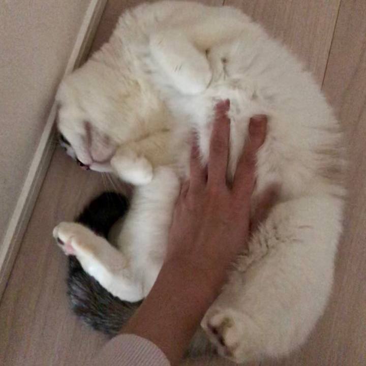 C1af0257 d7eb 4586 968f c192ae0cef71 1549407423231