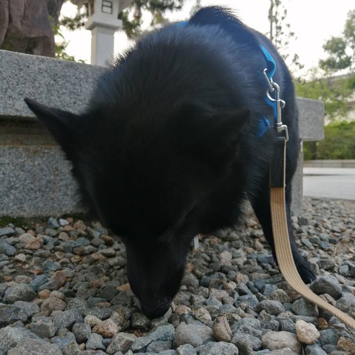 C1af3f15 d979 4c9b 95b3 706673818534 1624481994610