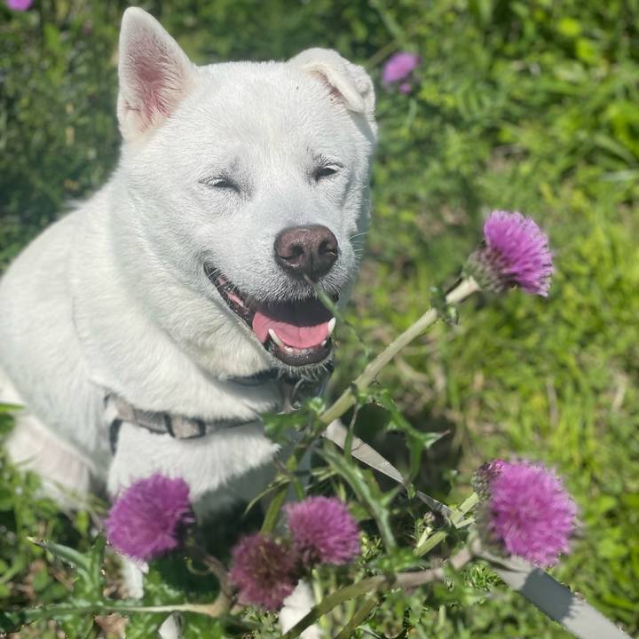 C1af5edf f4d8 4e67 9b8f c49b6cc6ba0f 1745718953054