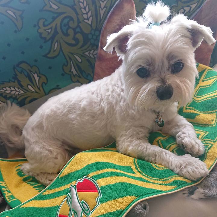 C1af7269 6e3b 4b0f a30a fe36b1cb97f4 1677855979344