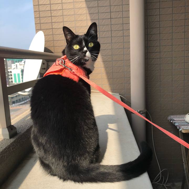 C1af9db6 9463 4ffd aa8d 966fb3eae736 1519594543087