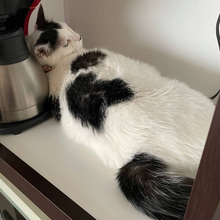 C1afa907 74f6 44cc a2aa 99b686706019 1627271455015