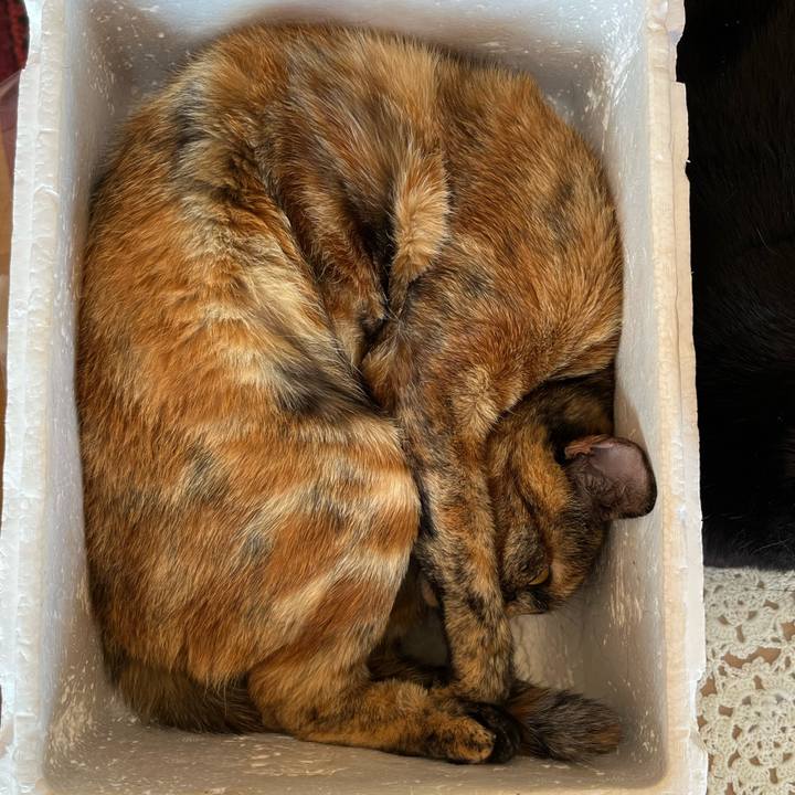 C1afad58 cbae 4de5 9f5f afa1f167213f 1774318829286