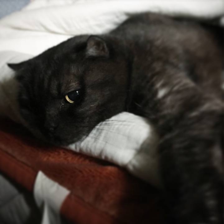 C1b00709 cf46 4585 86be f55ff23c977e 1562720657423