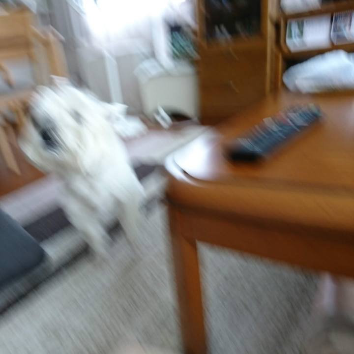 C1b00ea7 4a1c 4151 bf34 e08ab9a2820e 1568641300323