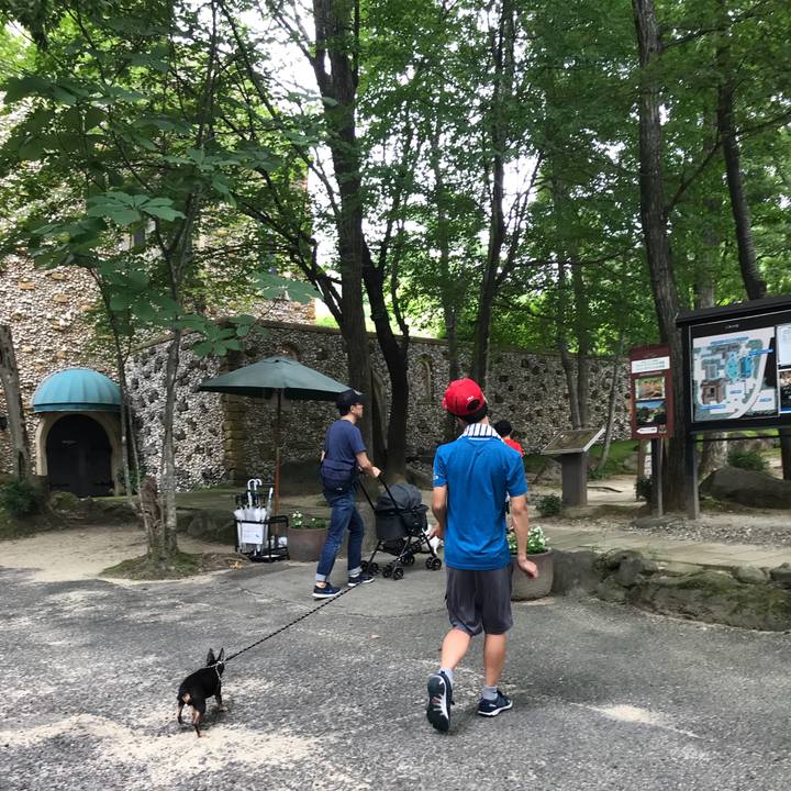 C1b0a41d 350f 4eb6 bc67 1287bbf41c62 1566722246401