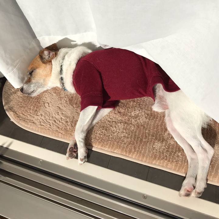 C1b0ec8c 975d 4186 ba7d 2988db2a8b4a 1545888742717