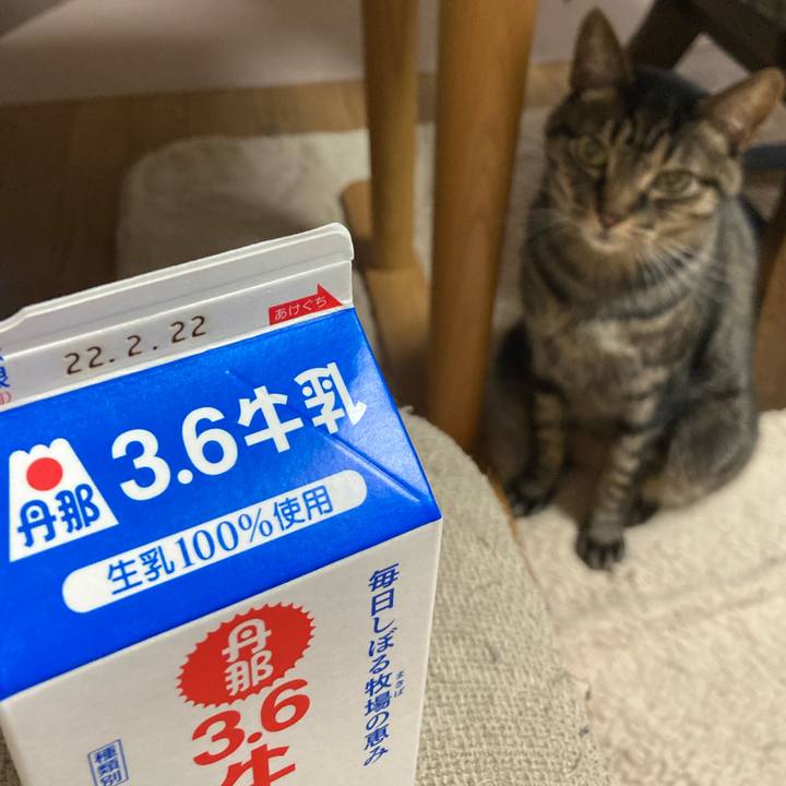 C1b111ff 8559 4d03 b9d3 6d7f19ad3f94 1644965938518