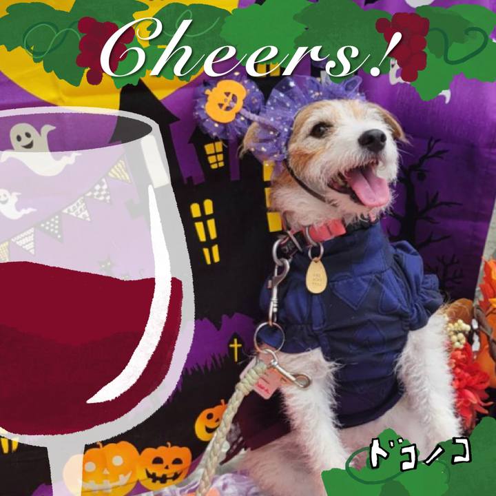 C1b11b3a 5552 4e7f ae48 734b40635c95 1761265003774