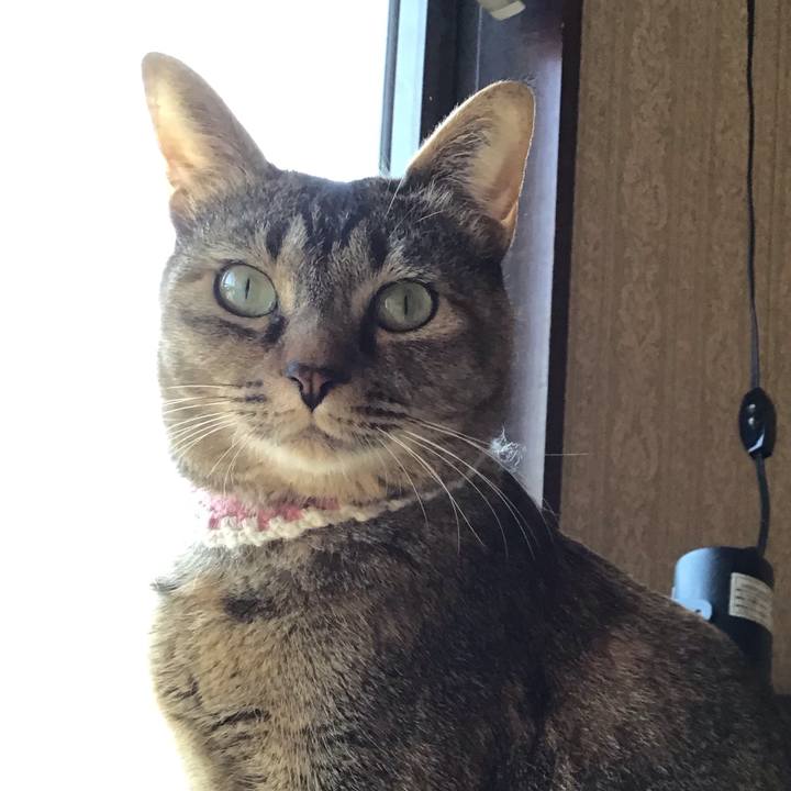 C1b12941 fe06 404b a8eb 63d0f7c3a89d 1650922045409