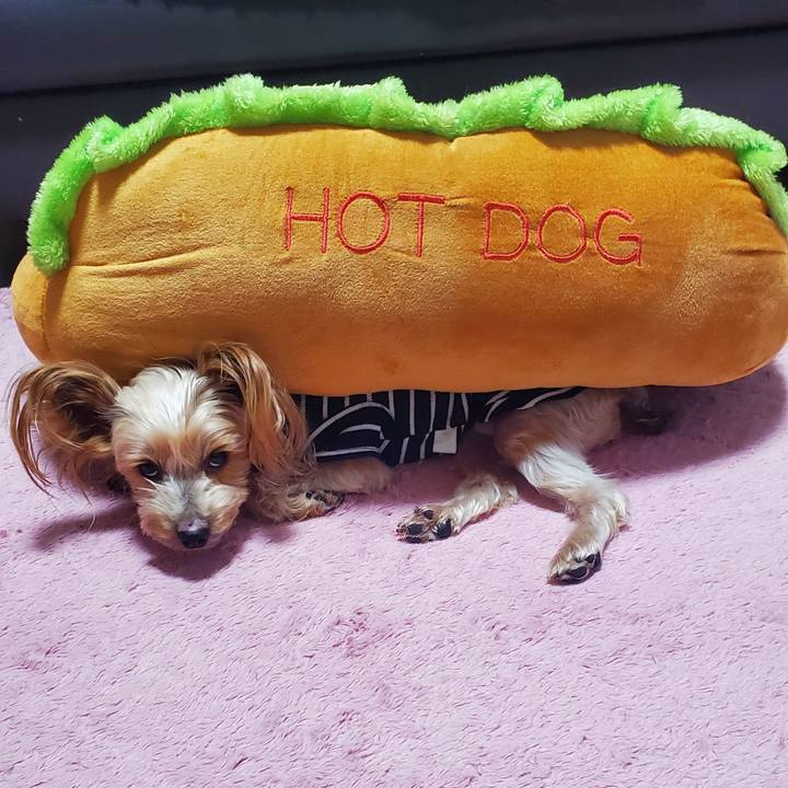 C1b14efc d373 41db 9b3e 52ca3c92c461 1607902030541