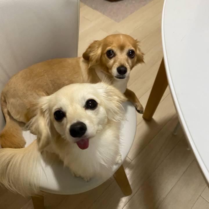 C1b155d7 9bf6 4fba 847e 40d74fb12058 1665224732831