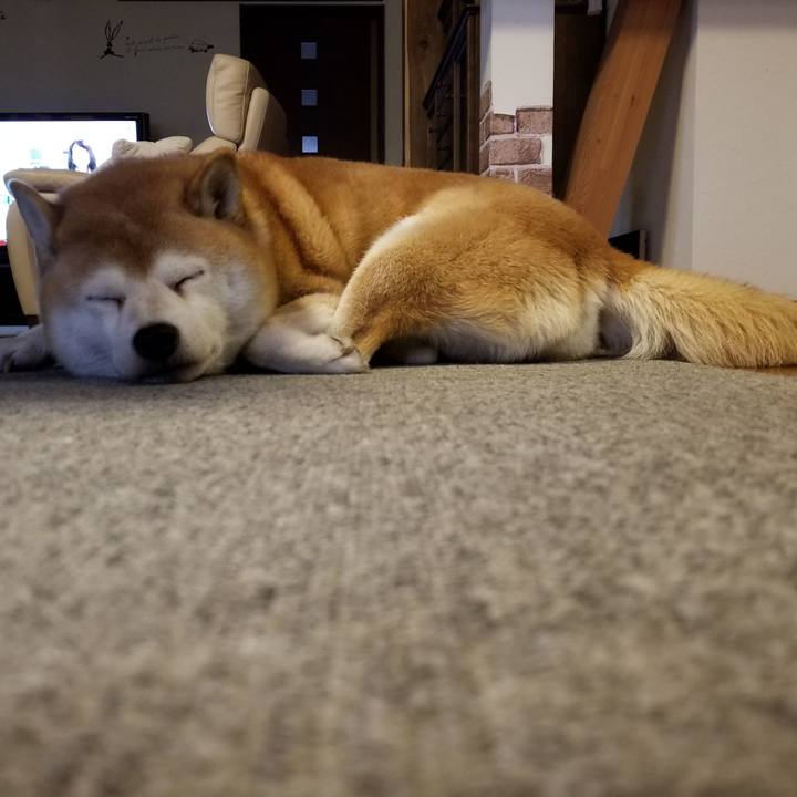 C1b16463 2b20 4d29 8a20 540b9e88316f 1636238837655