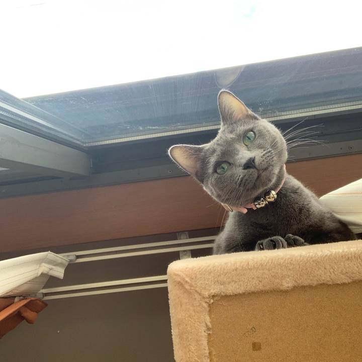 C1b165f5 2142 4129 aab2 a0243caec9d5 1574050285255