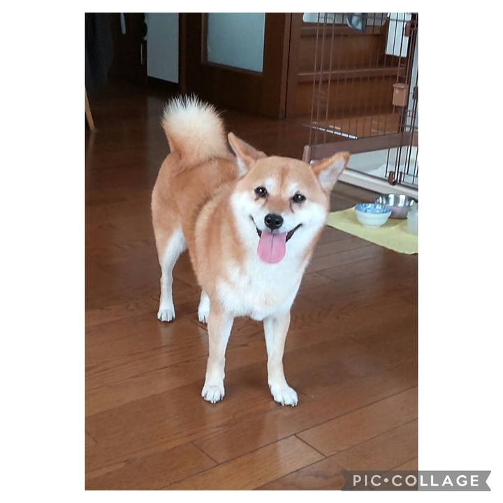 C1b17895 0ac5 4a07 9d73 ed2f9605205d 1721689534449