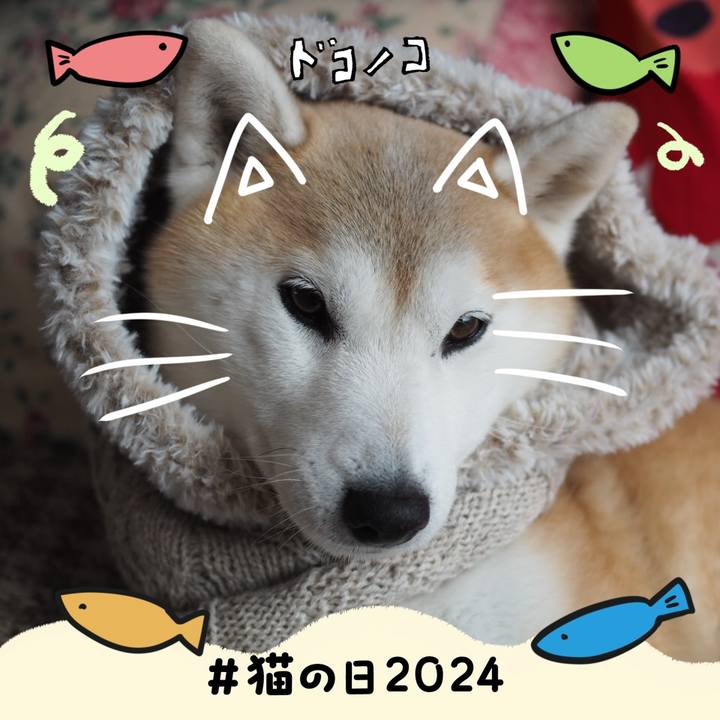 C1b1a05d 0370 4a92 9d90 66edbbbef157 1708569925013