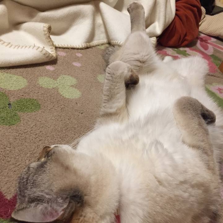 C1b1b65d 9d32 4161 8356 ceb2d3e5d320 1578829120807