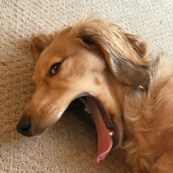 C1b1bc6b 0e60 42cb 9bb3 f993a9b63c83 1772000687368