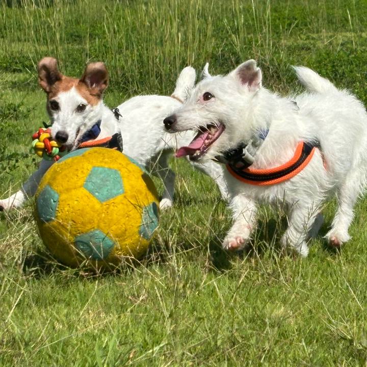 C1b1e8ce 54a2 4b9b 8b6b 7b30a6ac9566 1790043256944