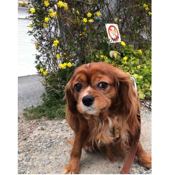 C1b1ef3a 2b03 43eb a9df 3eb4a0e19203 1616219579693