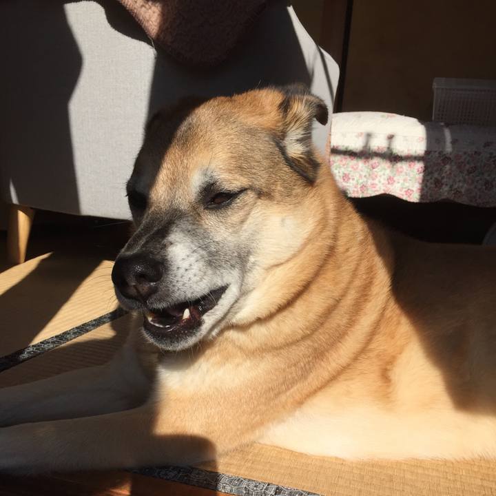 C1b2020b e357 4478 9caf 17a1ef2312ea 1578274365992