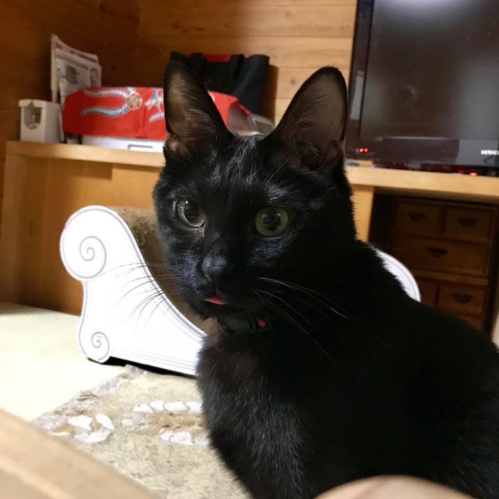 C1b2036a ba62 46e5 9c66 d1a6be4b2781 1548663728874