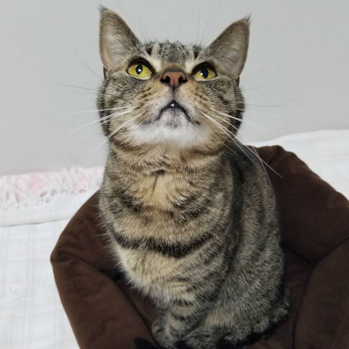 C1b22742 b00d 41fe b085 2e89f113240b 1614807054512