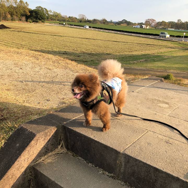 C1b2287a d603 4adf 8904 23b3fd290c5d 1542668961202