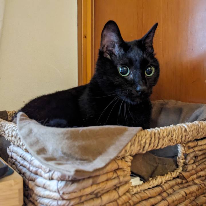 C1b2455d 0d68 4b4b 9cb8 fe5caef47910 1759100372452