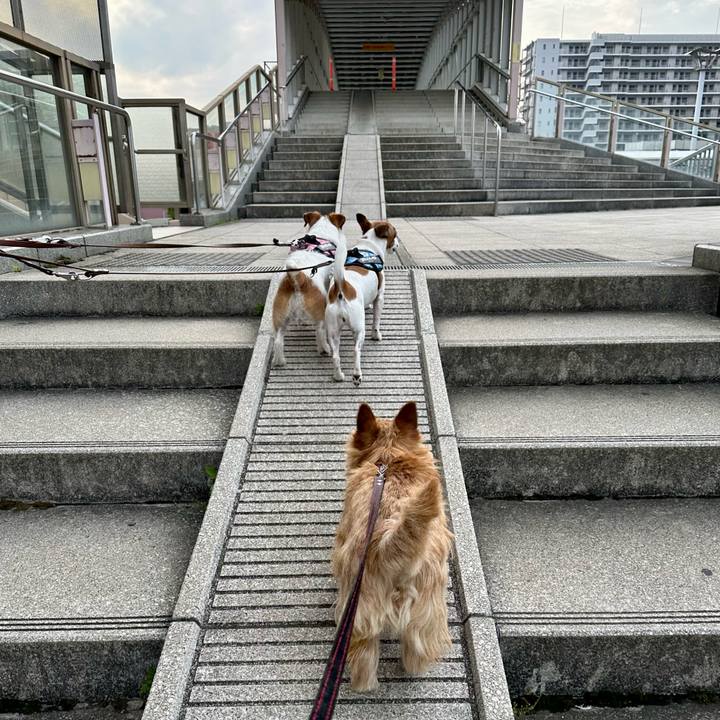 C1b24f9a d8ea 435d 93f5 a5b0e7a3b39b 1747357361034