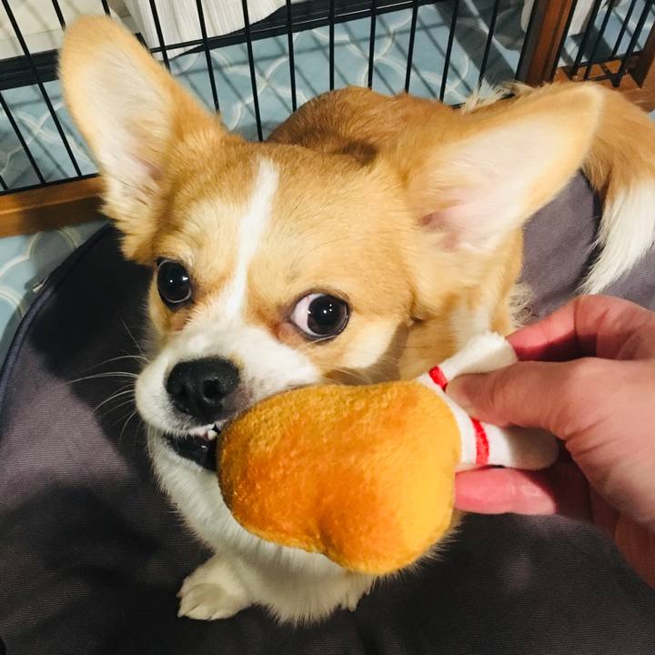 C1b28b58 ec62 43ee 94b2 53b52977a611 1577179727039