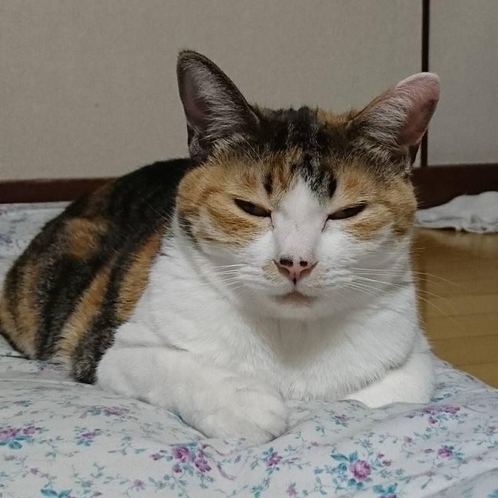 C1b2b83a c183 4cea 8826 c416f07daf1c 1525003074479