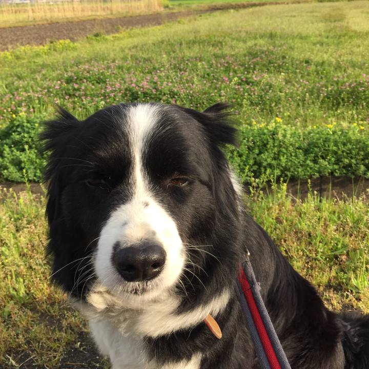 C1b2ecf9 88a3 4e38 ac7c 20169d9ceddf 1522882540935