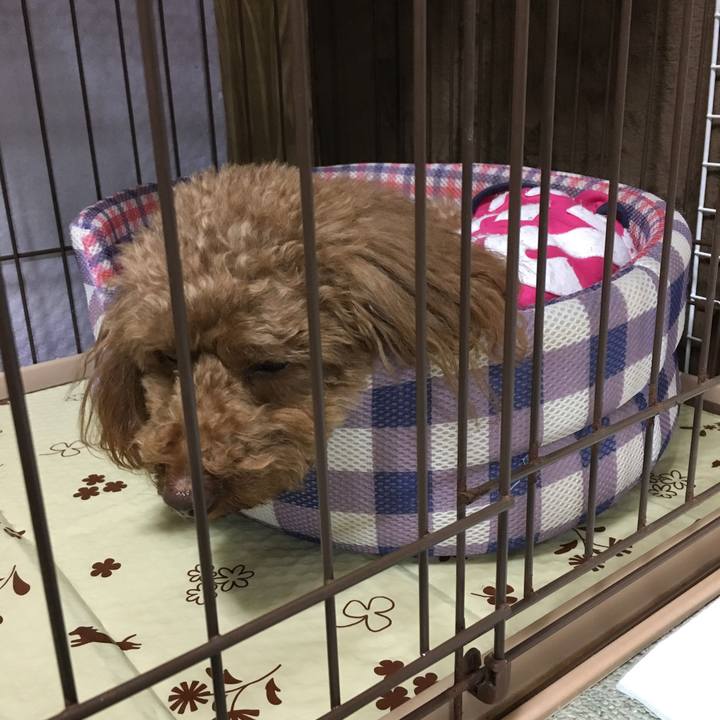 C1b2fd62 3e5d 43ba 8c30 c9ce5902b660 1524476815549