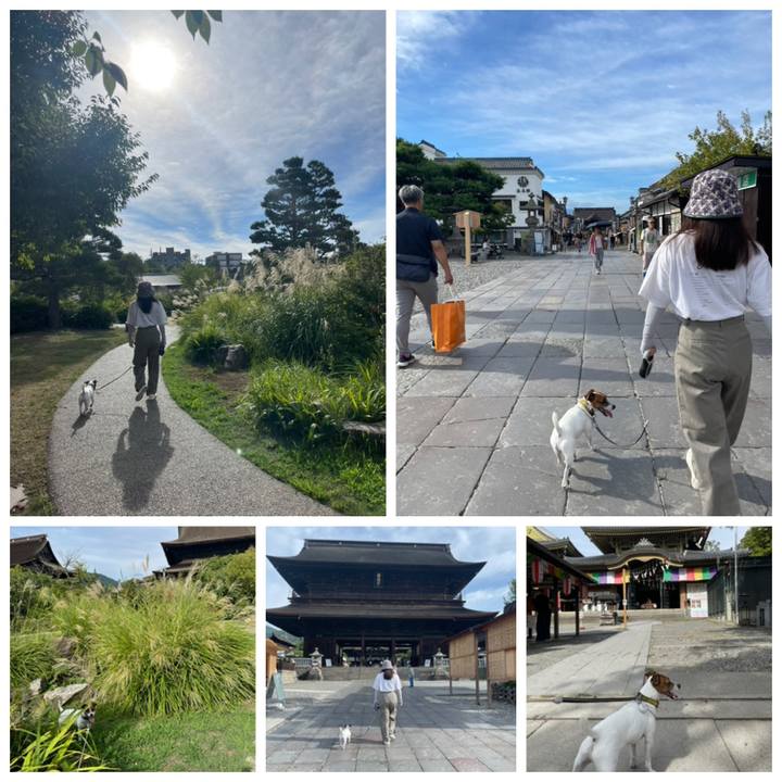 C1b2ffe0 8fa8 45d8 b5c6 e64d0222eabe 1693636440694